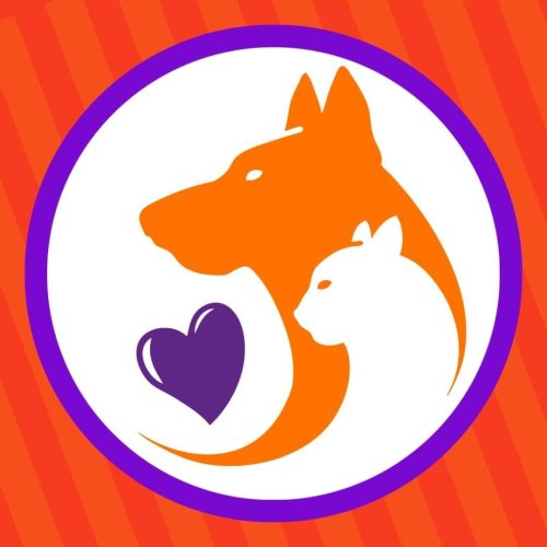 Jimmy Pets - Rua bambina