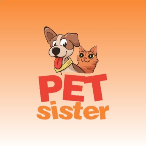 517054147_18276990628262527_2412877649348135935_n