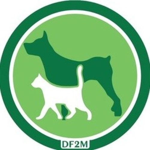 DF2M