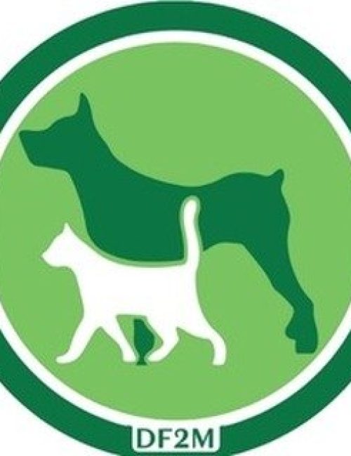 DF2M