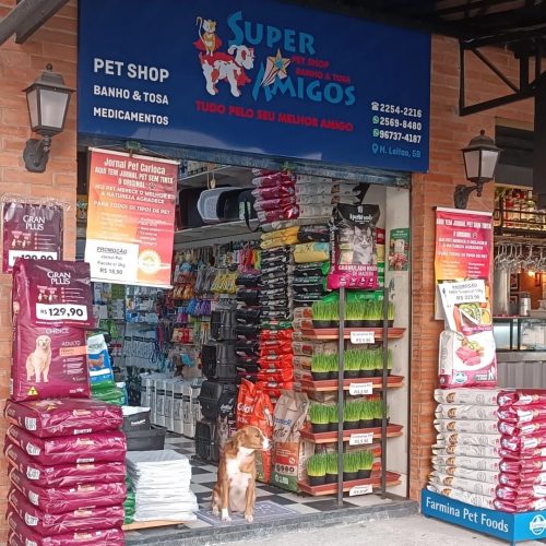 Super Amigos da Tijuca