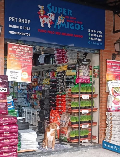 Super Amigos da Tijuca