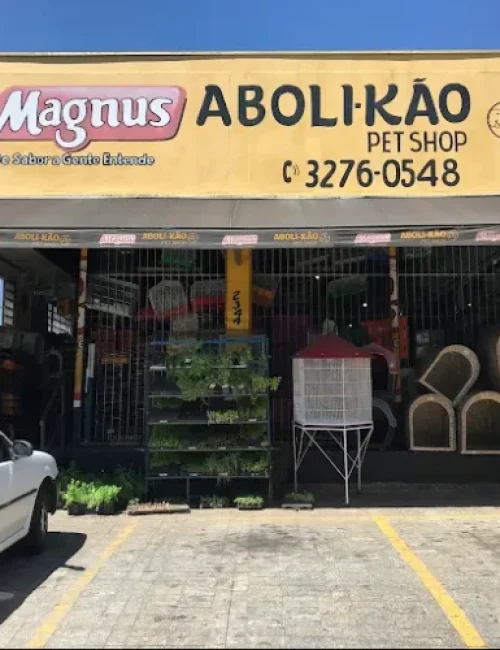 abolikao-r84efp82c3npfy3ui0zzdzi3lobms2x45xyxu9iavc