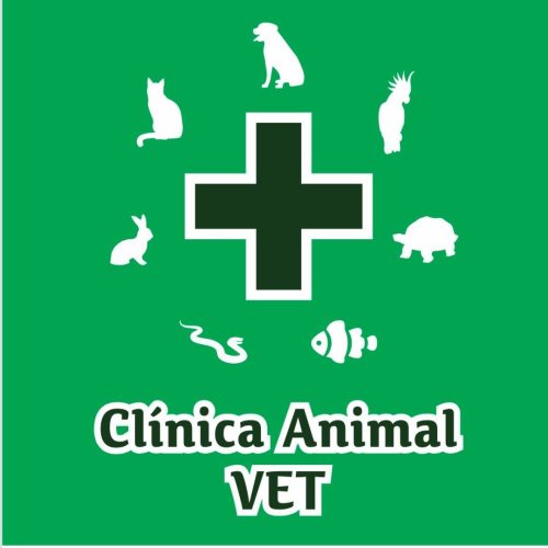 clinica vet