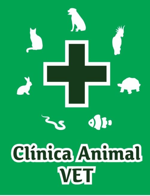 clinica vet