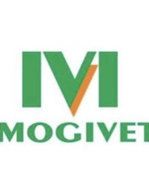 mogivet