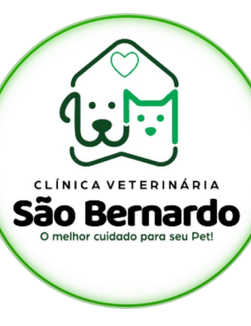 sao bernardo